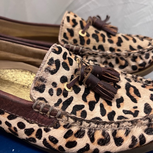 8.5 - Picture 3 of 4